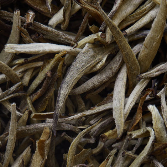 Bílý čaj Jasmín Imperial - 50 g