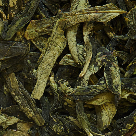 Zelený čaj Long Jing (Lung Ching) 1. třída, duben 2024 - 50 g
