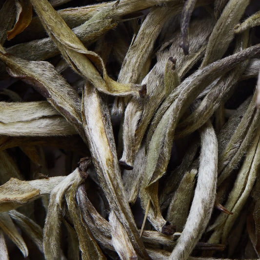 Bílý čaj YUNNAN YIN ZHEN - 50 g